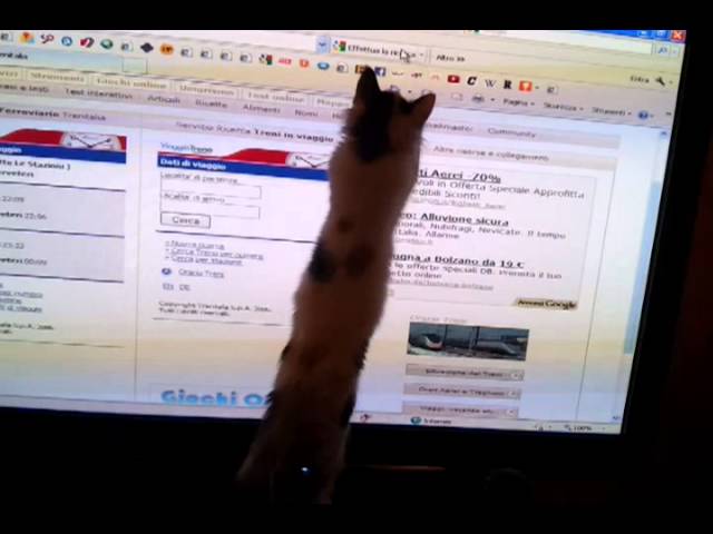 Cat vs mouse
