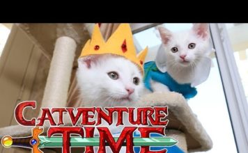 Adventure time – Cute edition