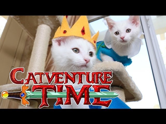 Adventure time – Cute edition