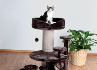 Tiragraffi eBay: i migliori 5 Tiragraffi eBay