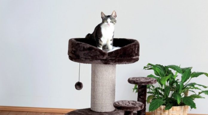 Tiragraffi eBay