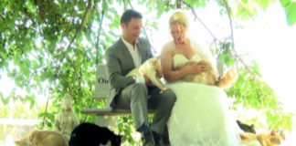 Dominic Husson e Louise Véronneau, neosposini, con i gatti