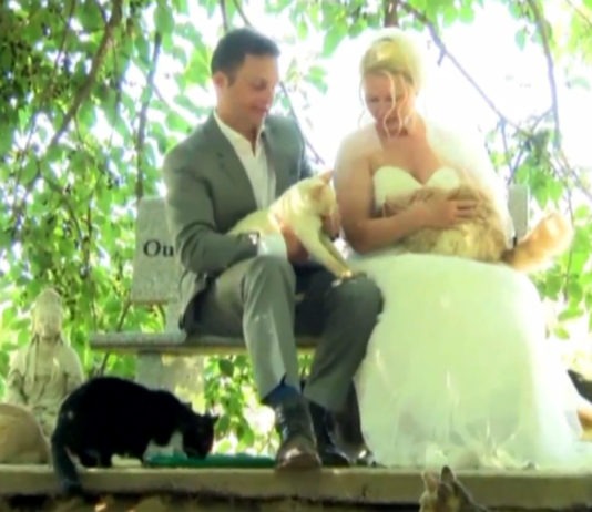 Dominic Husson e Louise Véronneau, neosposini, con i gatti