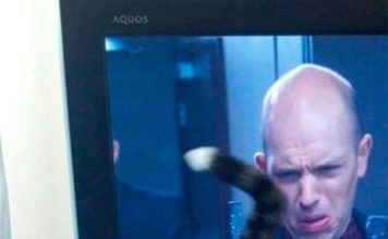 Gatti nel posto giusto, o quasi, al momento giusto Al posto giusto nel momento giusto, o quasi