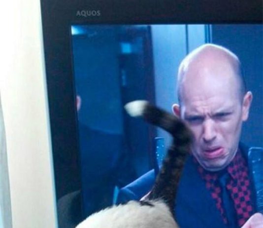 Al posto giusto nel momento giusto, o quasi