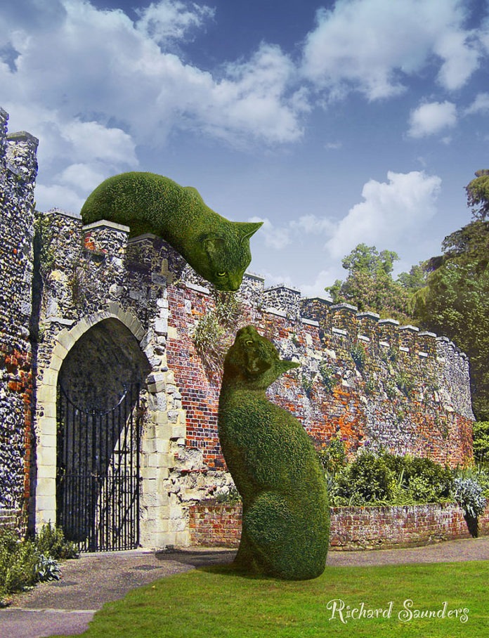 Topiary Cat di Richard Saunders