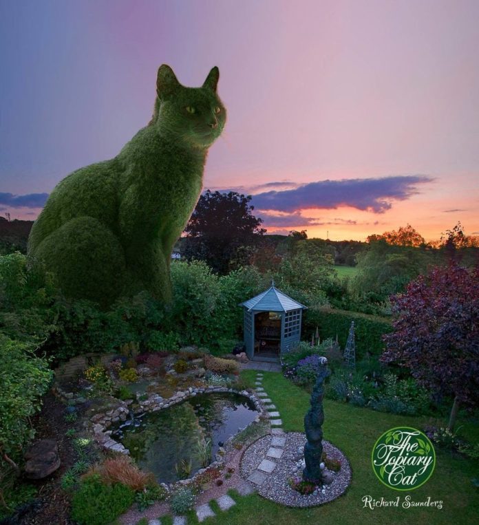 Topiary Cat di Richard Saunders