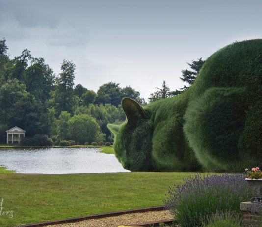 Topiary Cat di Richard Saunders