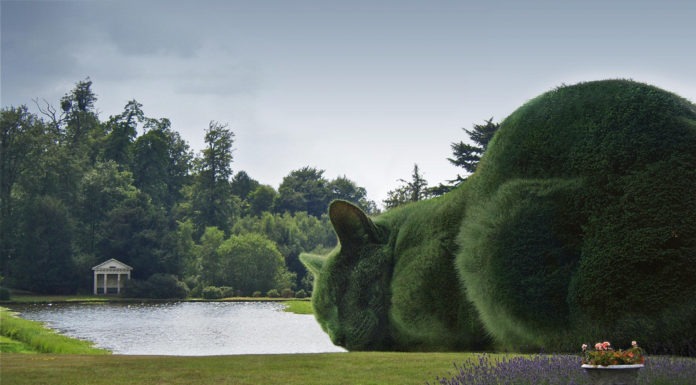 Topiary Cat di Richard Saunders