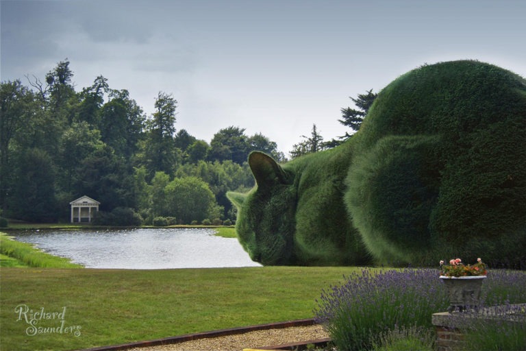 Topiary Cat di Richard Saunders