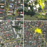 Mappe con il tracing dei gatti di Lithgow