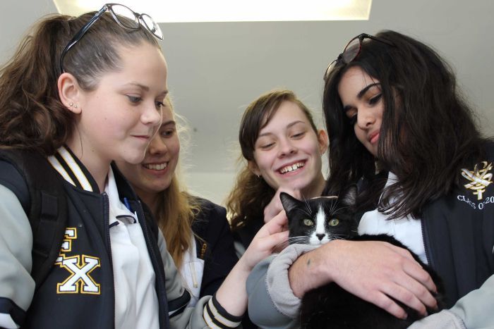 Studenti del college di Canberra con un gatto