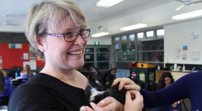 Kath Crawford, del Flossie's kitten Rescue, presso il College St Francis Xavier
