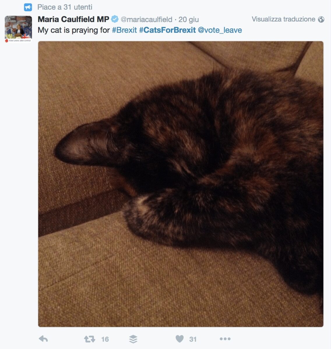 Il tweet di Maria Caulfield 