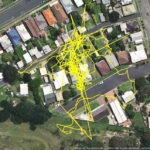 Tracking a Lithgow dei gatti locali