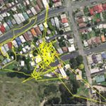 Tracking a Lithgow dei gatti locali
