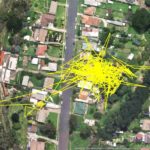 Tracking a Lithgow dei gatti locali