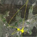 Tracking a Lithgow dei gatti locali
