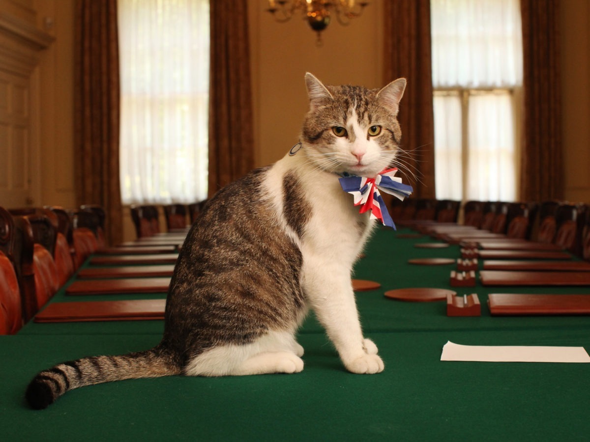 Larry, il gatto di Downing Street 