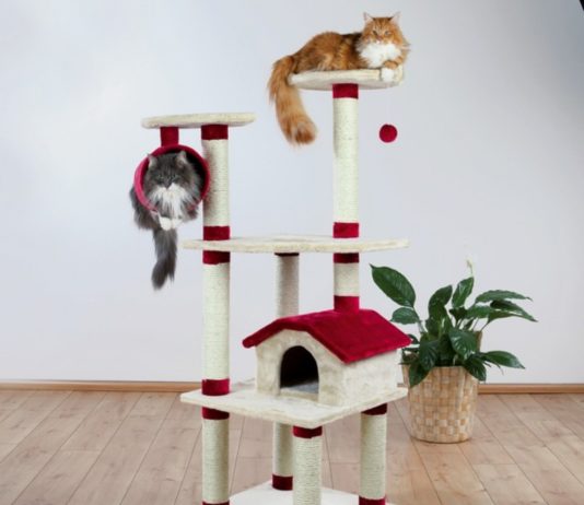 tiragraffi per gatti