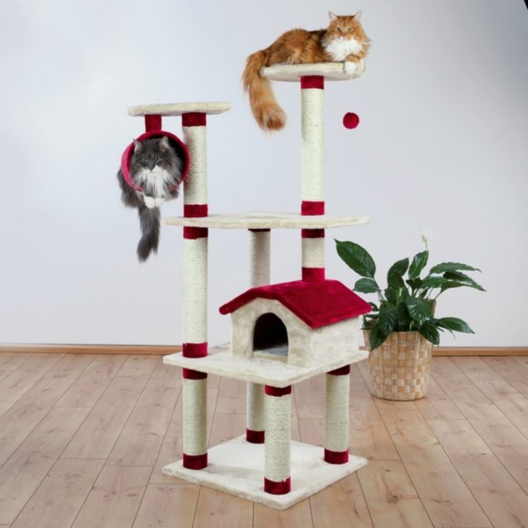 tiragraffi per gatti