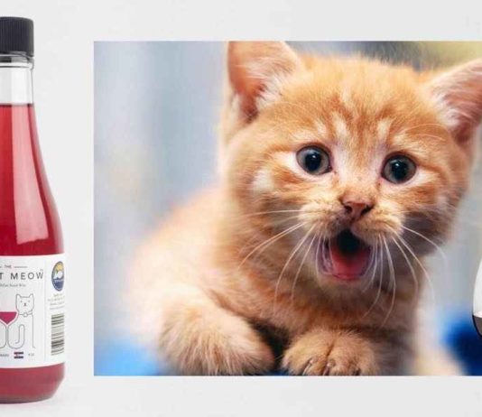 Pinot Meow e MosCATo, per brindare con il vostro gatto