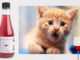 Il vino per gatti esiste. Da oggi non brinderete più da soli Pinot Meow e MosCATo, per brindare con il vostro gatto