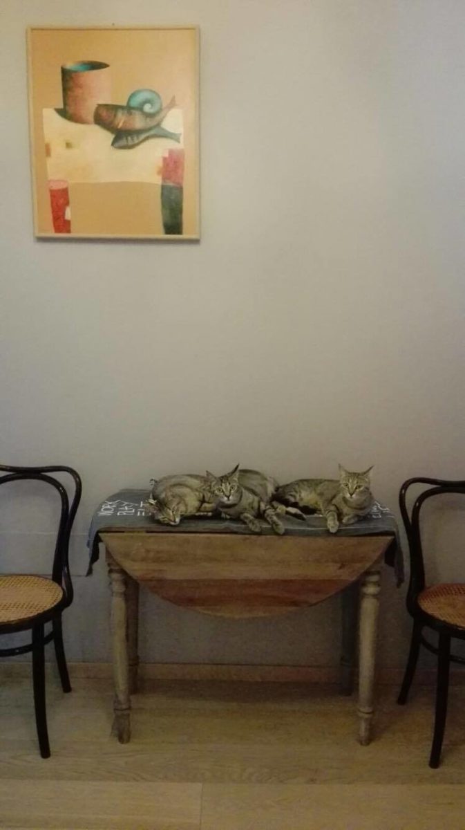 Amy Meg Jo di Nico Montigelli