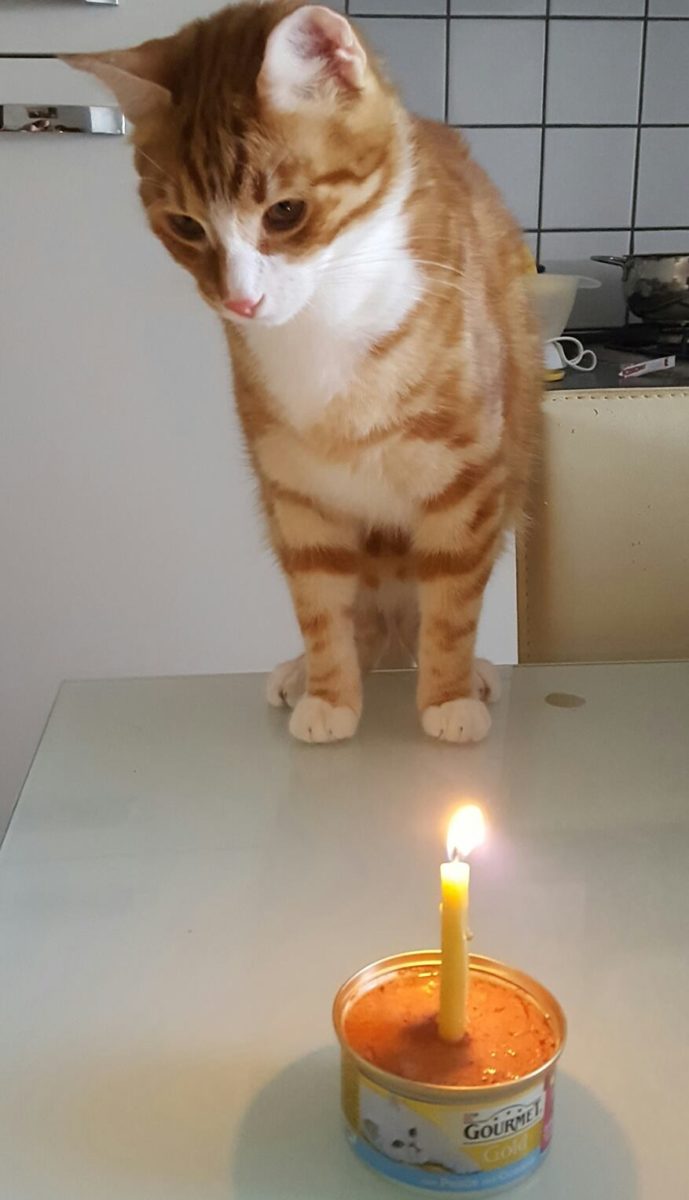 Bisou di Gianina Opruta compie un anno