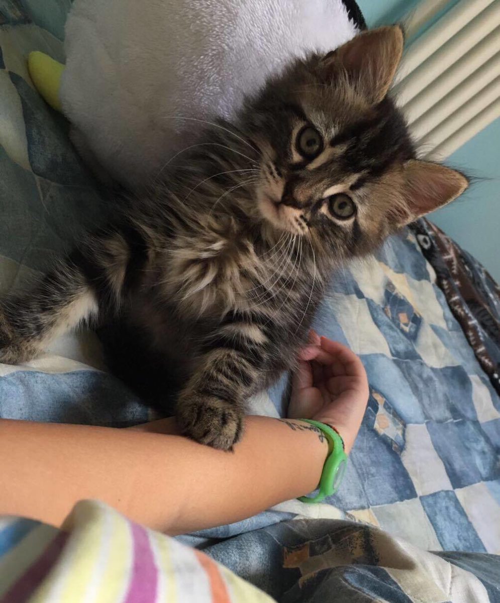 Popof di Stefania Pedretti