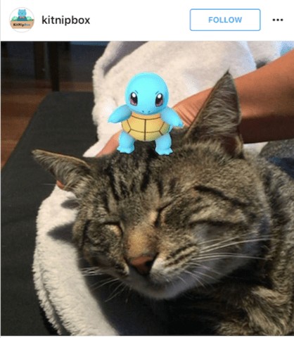 La Pokemon GO mania prende anche i gatti