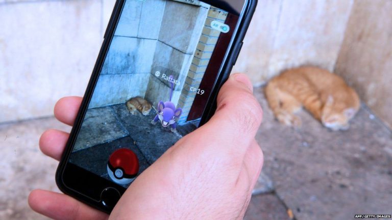 Anche i gatti sono coinvolti nella Pokémon GO mania