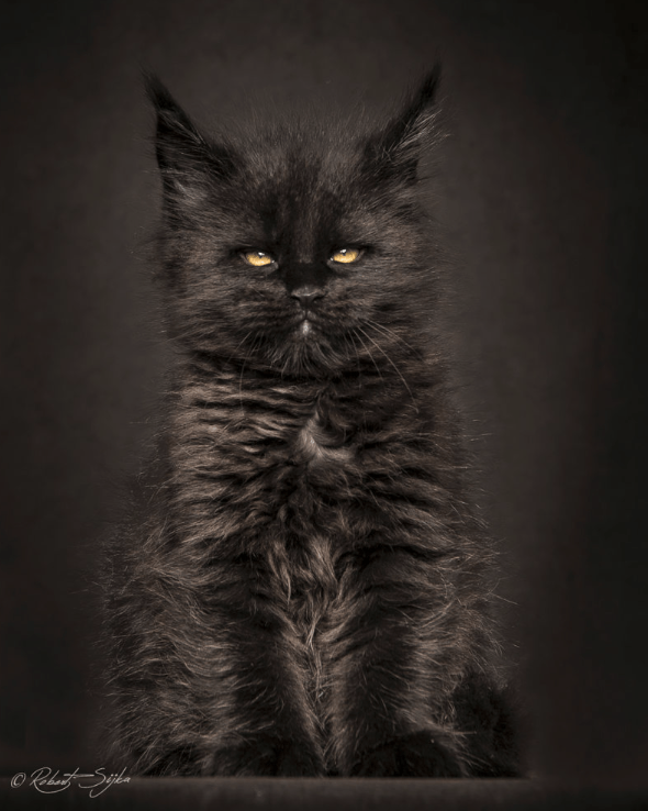 © Robert Sijka