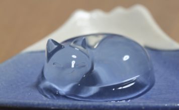 Il gatto addormentato di mithiruka