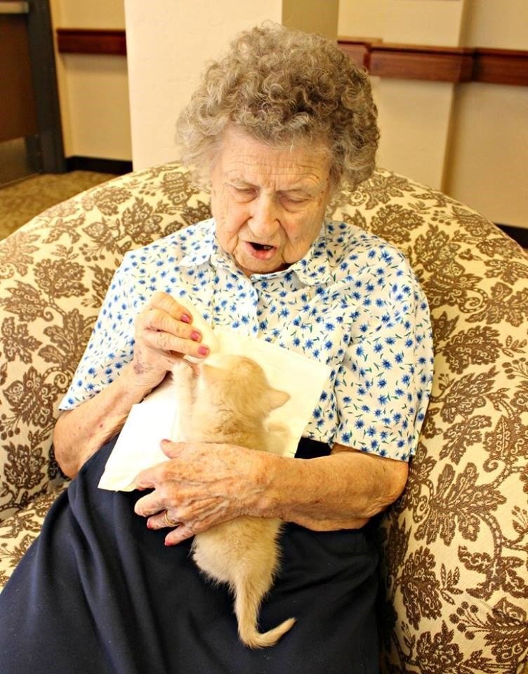 I gattini del PACC allattati dai residenti della casa di cura di Oro Valley
