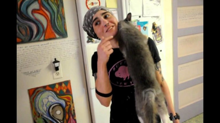 Lovebug, il gatto che non smette di dimostrare il suo infinito amore
