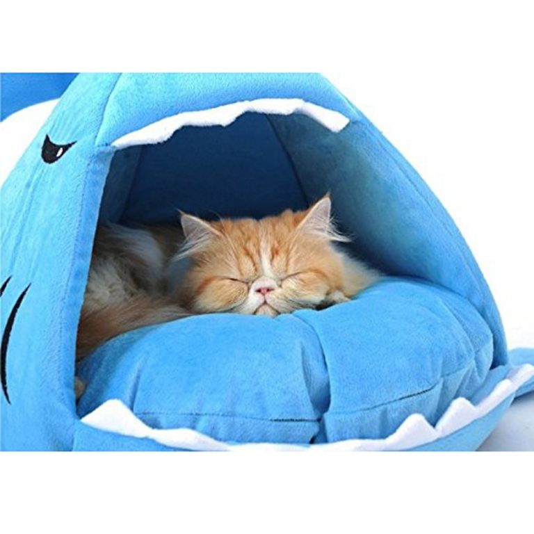 10 oggetti per far felice il tuo gatto
