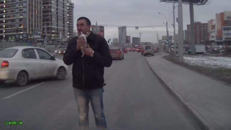 Guidatore russo salva gattino dal traffico