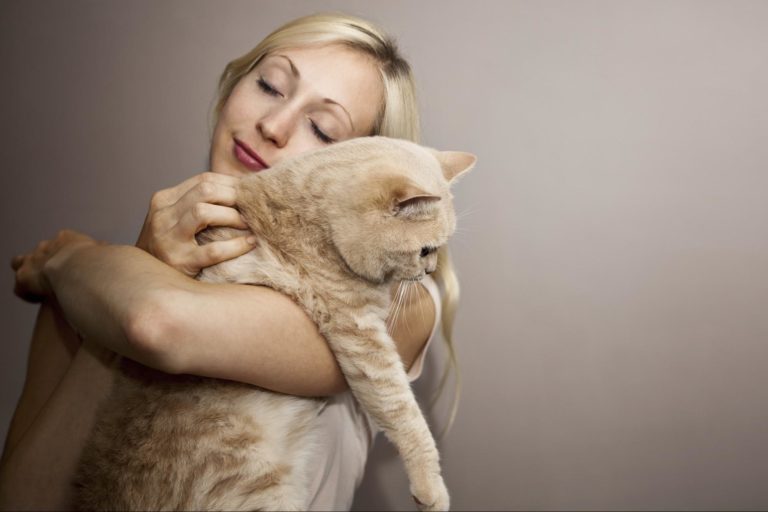 Sordità del gatto