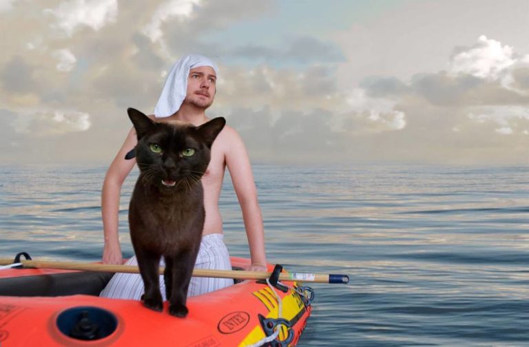 Un uomo ricrea le scene di film famosi con i suoi gatti