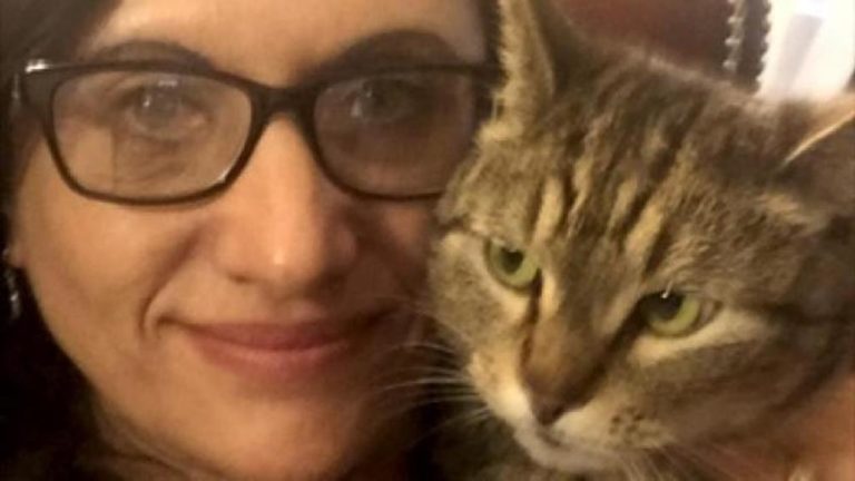 Gatto smarrito quattro anni fa in California ritrovato in Canada