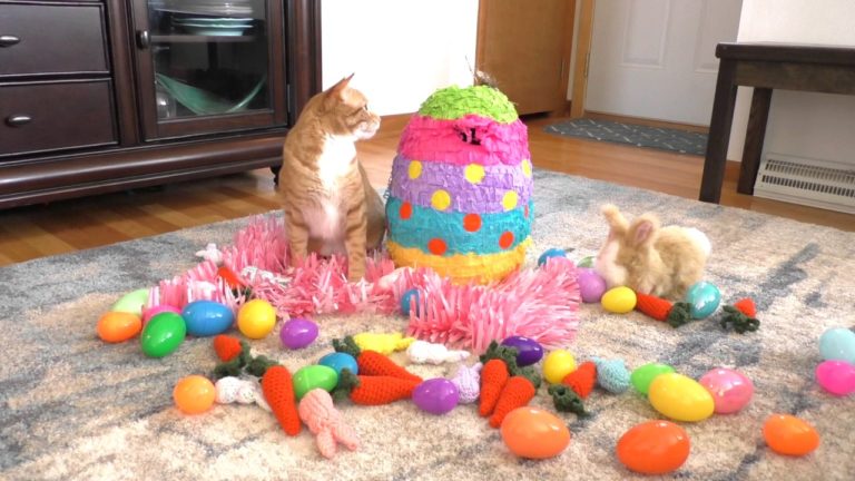 È arrivata la Pasqua!