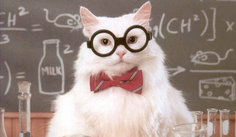 Astrofisico si prende gioco dei gatti. E i gatti si prendono la giusta rivincita.