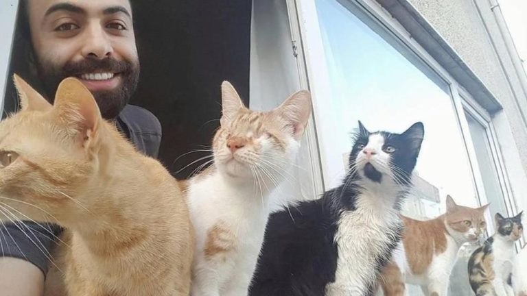 Sarpem, il pianista turco e i suoi gatti che hanno rubato i cuori di molti