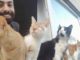 Sarpem, il pianista turco e i suoi gatti che hanno rubato i cuori di molti