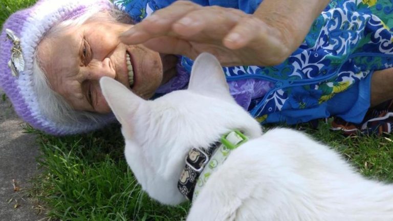 Darwin, un gatto speciale che ha fatto tornare bambina una 85enne