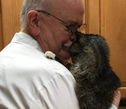 Per 15 anni gatto di strada, poi la svolta