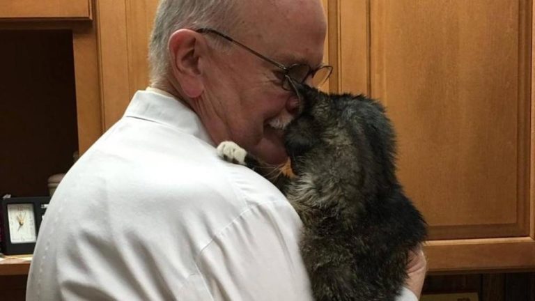 Per 15 anni gatto di strada, poi la svolta