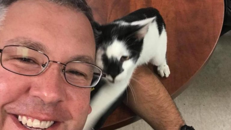 Gattino va dalla polizia e si fa un selfie