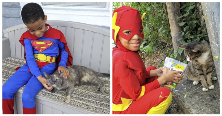 Un bambino si veste da supereroe per salvare gatti randagi